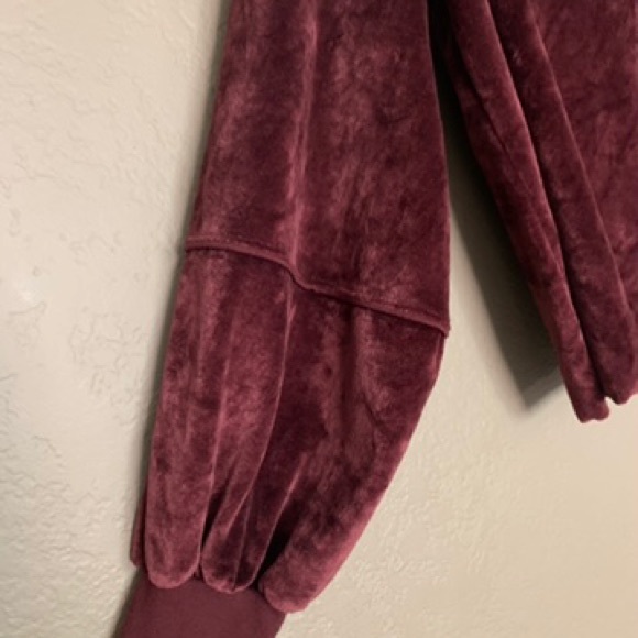 NationLTD Kiera Velvet lantern sleeve top - Picture 3 of 6